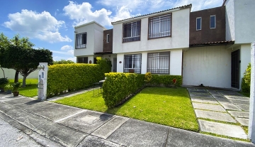 MONTE SINAI  72 1.jpg